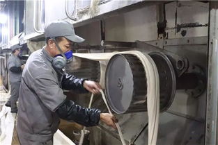 創新驅動，綠色賦能——阿拉爾中泰紡織科技公司毛型纖維新產品成功下線